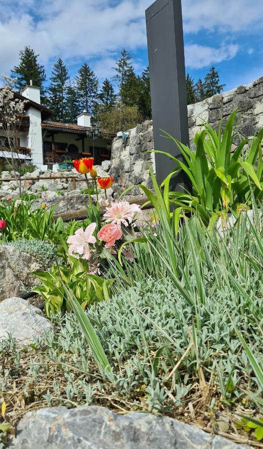 Alpenchalet Zum Jeremia Grainau Zewnętrze zdjęcie